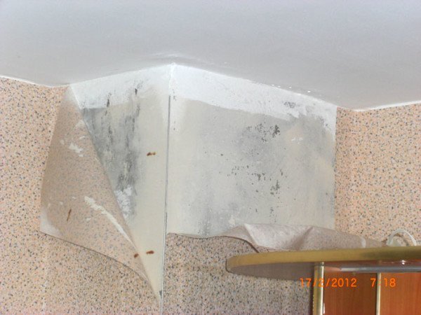 Чому потіють пластикові вікна і як боротися з цією проблемою Чому потіють пластикові вікна і як боротися з цією проблемою