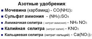 Мінеральні добрива – види і правила по їх використанню + відео