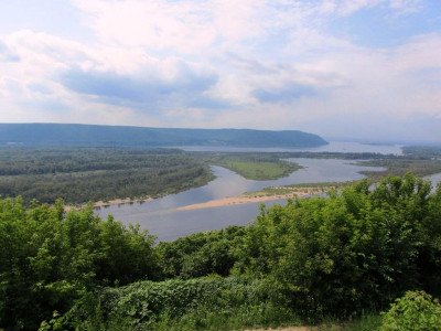 Яблука Кутузовец   сорт, який можна всю зиму