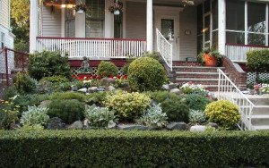 Палісадник перед будинком – які способи оформлення існують? + відео