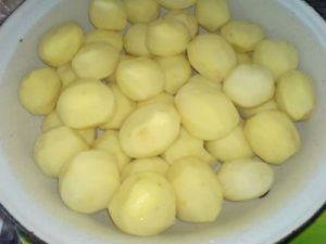 Годівлю курчат мясних та яєчних порід в домашніх умовах