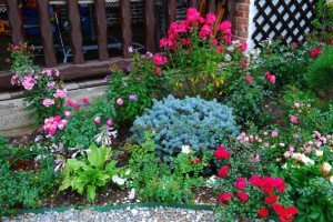 Палісадник перед будинком – які способи оформлення існують? + відео