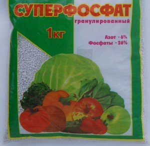 Суперфосфат – добриво для кореневої системи і смачних плодів + Відео