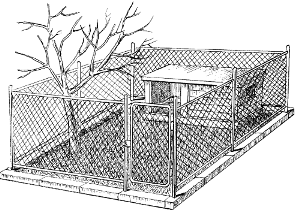 Як побудувати вольєр для курей своїми руками?