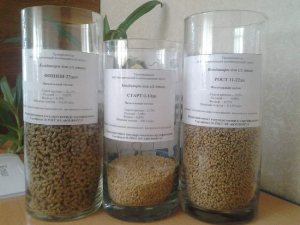 Вирощування курчат бройлерів: секрети вигідного бізнесу
