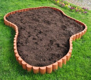 Як спланувати клумбу – це не так складно, як здається! + Відео