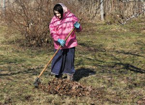 Підготовка саду до весни – які роботи необхідно провести? + відео