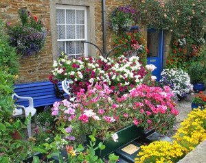 Гарні клумби на вашій ділянці – від задуму до втілення + Відео