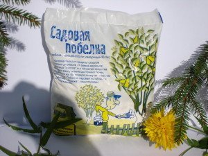 Побілка плодових дерев восени – як обробляти дерева? + відео