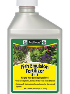 Весняна підгодівля троянд – хороша традиція садівника + відео Весняна підгодівля троянд – хороша традиція садівника + відео