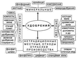 Фосфорно калійні добрива – навесні і влітку для підгодівлі + Відео
