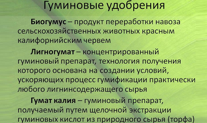 Гумінові добрива – чому не варто їх ігнорувати? + Відео