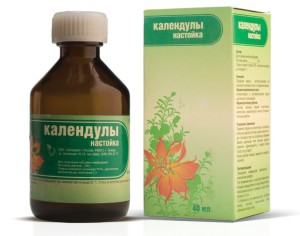 Календула – лікувальні властивості і протипоказання рослини + відео