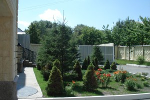 Хвойні в ландшафтному дизайні: як вибрати сорти і висадити? + відео