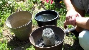 Підгодівля золою: як приготувати деревне настій для квітів? + відео