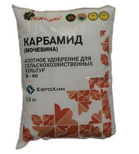 Весняна підгодівля саду – як змусити сад плодоносити + Відео