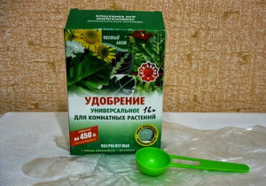 Квітка гарденія – догляд за східною красунею за правилами + Відео