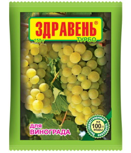 Виноград Ізабелла в Підмосковї – правильний догляд і обрізка + Відео