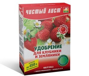 Підгодівля полуниці після збору врожаю – підготовка до зими + Відео