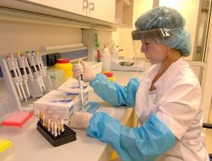 Туберкульоз у домашньої птиці: лікувати або вбивати?