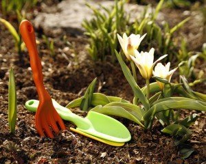 Садові роботи на дачі – як полегшити свою працю? + відео