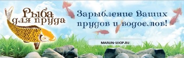 Ставок на ділянці своїми руками – облаштовуємо правильний водойма + Відео