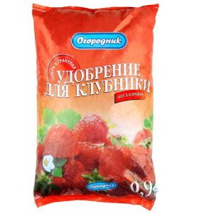 Добрива для полуниці – правила вибору та внесення + Відео