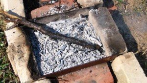 Підгодівля золою: як приготувати деревне настій для квітів? + відео