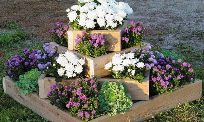 Клумби з підручних матеріалів – оригінальні рішення для ваших квітників + Відео
