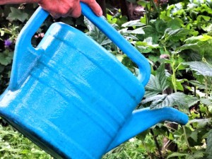 Весняна обробка саду – що застосовувати для роботи? + відео