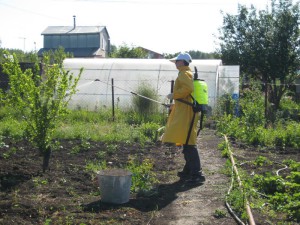 Весняна обробка саду – що застосовувати для роботи? + відео
