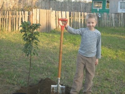 Яблуні сорту Насолода і їх плоди: не відмовляйтесь, спробуйте!
