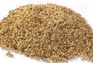 Мінеральні добрива для городу: які бувають і як вносити? + відео