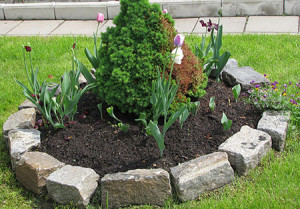 Огорожі для клумб і грядок – огляд матеріалів і реалізація + Відео Огорожі для клумб і грядок – огляд матеріалів і реалізація + Відео