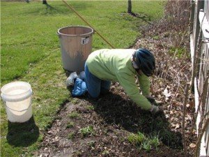 Садові роботи на дачі – як полегшити свою працю? + відео