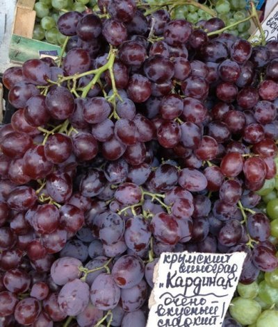 Виноград Кардинал: опис сорту, особливості, батьківські функції і фото
