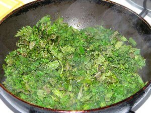 Корми для курей: все про те, чим ви збираєтеся годувати птахів