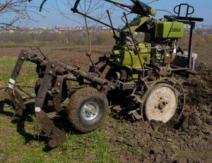 Боротьба з бурянами на картоплі – вибір ефективного методу + відео