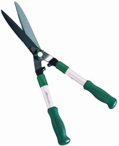 Який краще вибрати кущоріз – електричний або бензиновий? + відео