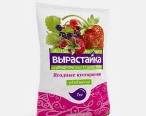 Підгодівля агрусу восени – що люблять кущі? + Відео