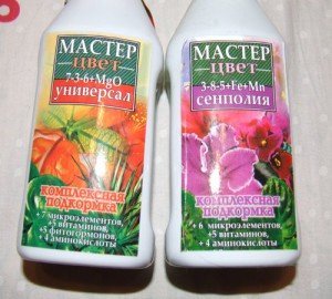Добрива для фіалок – чого не варто робити при підгодівлі? + Відео