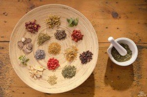 Лікарські рослини на дачі: у чому їхня користь? + відео