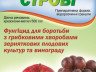 Обприскування винограду від хвороб – ефективні препарати + Відео