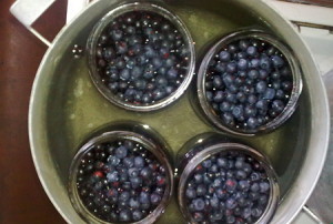 Компот з чорниць на зиму – смачні заготовки, прості рецепти + Відео