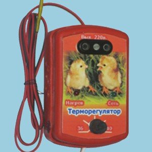Інкубатор для домашньої птиці своїми руками, від корпусу до системи підігріву Інкубатор для домашньої птиці своїми руками, від корпусу до системи підігріву