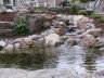 Як створюються водоймища в ландшафтному дизайні? + відео