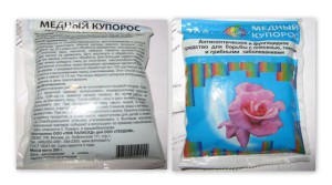 Обробка полуниці навесні – профілактика від шкідників + Відео