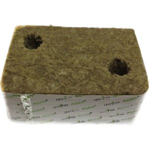 Пророщування насіння – які умови потрібно дотримуватися? + відео