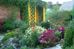 Палісадник – ми навчимо, як зробити найкращий! + Відео