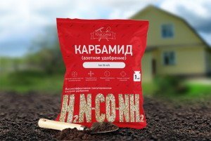 Сечовина – добрива і захист для саду і городу + Відео